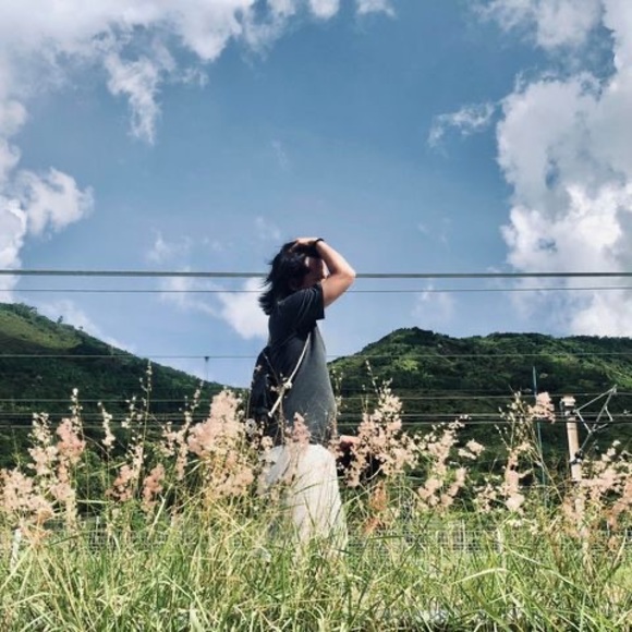 Meet your Posher, Garfield - Picture 1 of 1